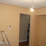 bennys-handyman-Georgina-renovation-job-samples (76)